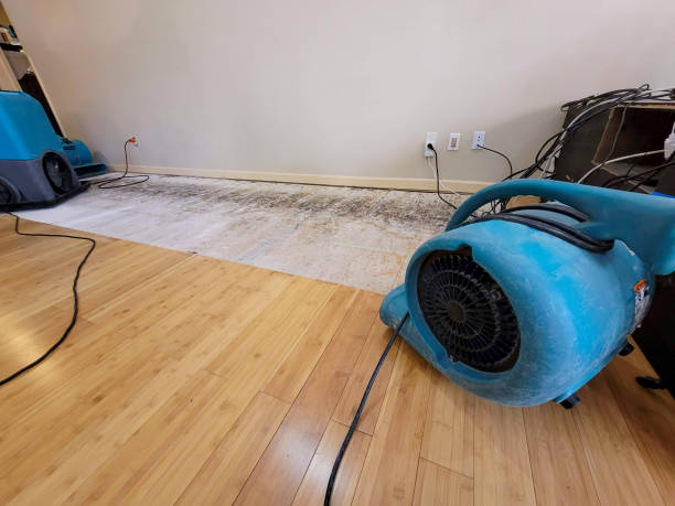 Reliable Basement Flood Cleanup contractor in Augusta, KS by Hirex Water Damage