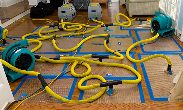 Professional Basement Flood Cleanup technician working in Augusta, KS